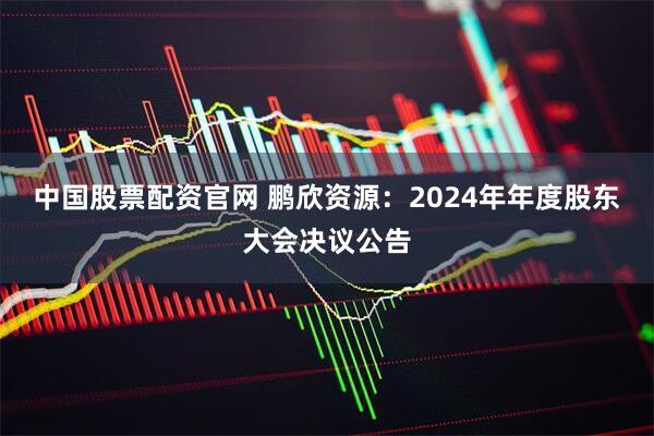中国股票配资官网 鹏欣资源：2024年年度股东大会决议公告