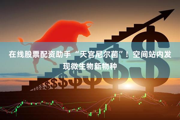 在线股票配资助手 “天宫尼尔菌”！空间站内发现微生物新物种